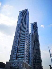 2019前海湾最新爆料,最新爆料揭示惊人真相！”  第3张