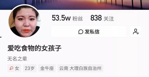 新晋网红爆料模板视频,揭秘模板视频的神奇魔力！  第2张